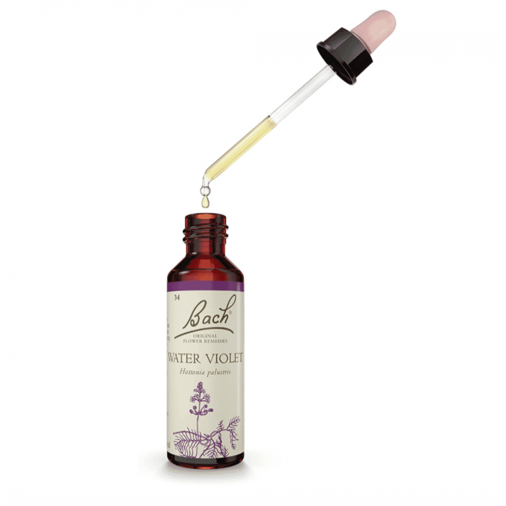 Water Violet 20ml