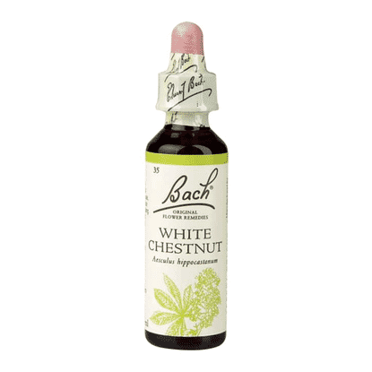 White Chestnut 20ml