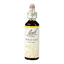 Wild Oat 20ml