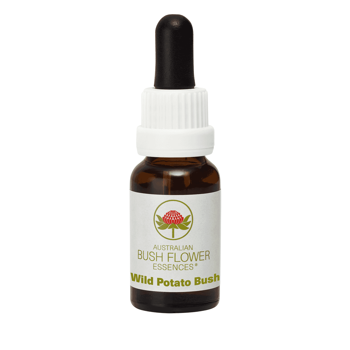 Wild Potato Bush (Stock Bottle) 15ml