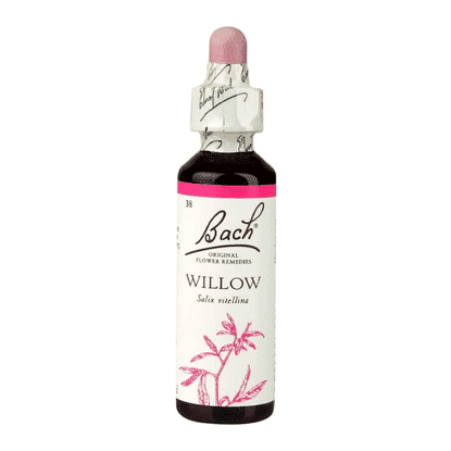 Willow 20ml