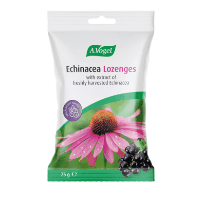 Echinacea Blackcurrant Flavour Lozenges 75g