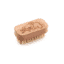 Kids Natural Vegan Nail Brush Koala