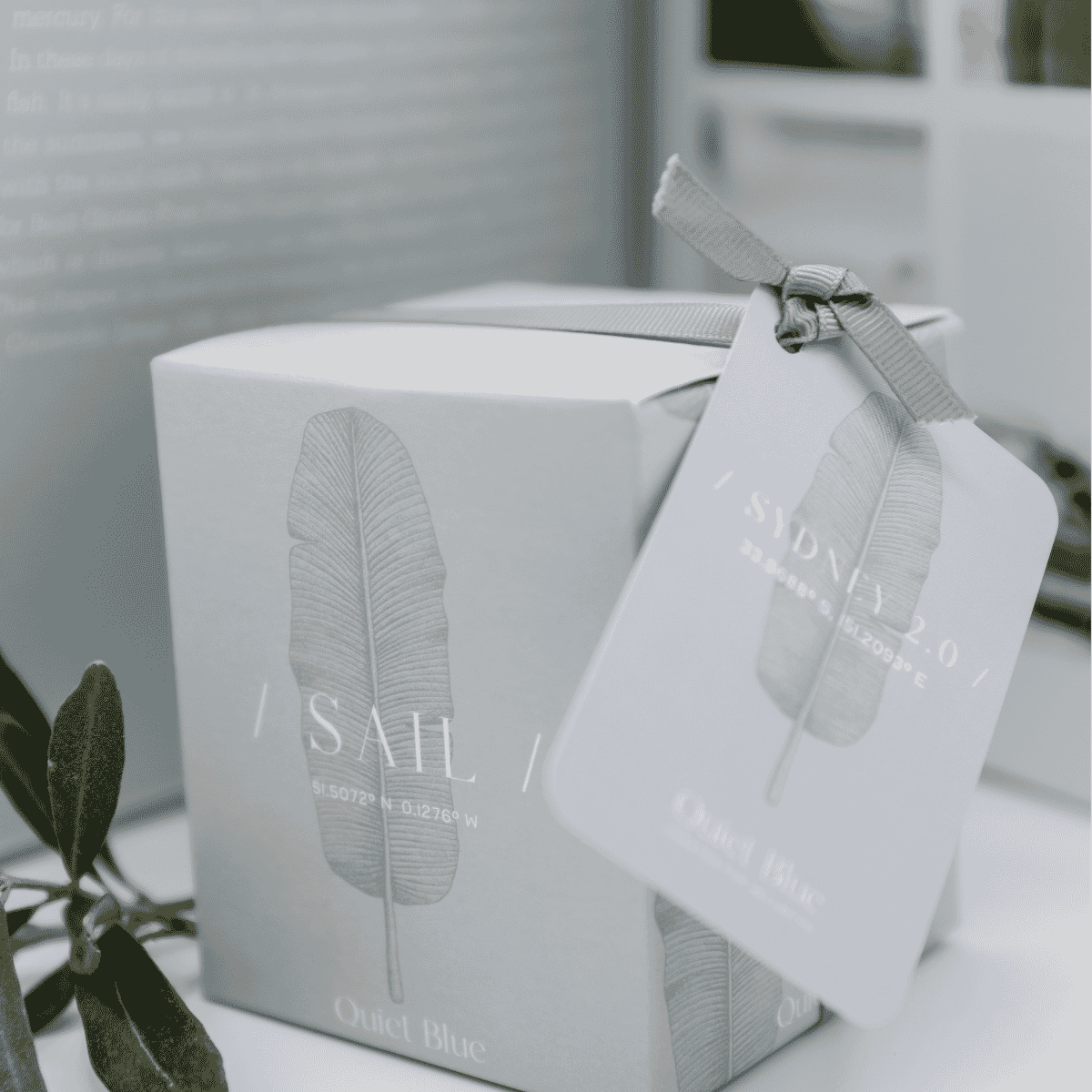 SAIL / Sydney Candle